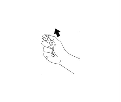 Image 1 (Ifu 1)